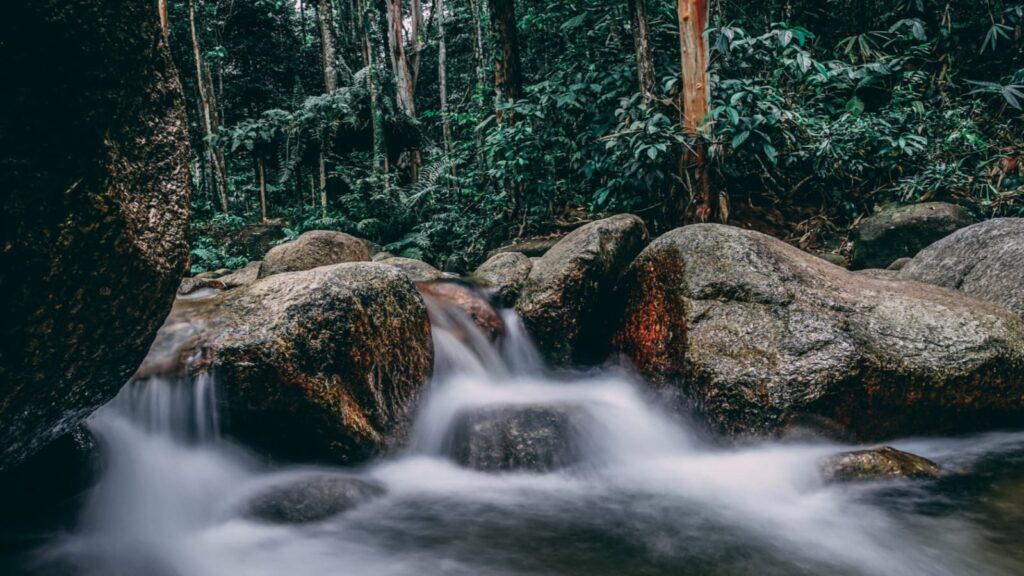Top 6 Famous Hill Stations To Visit In Malaysia