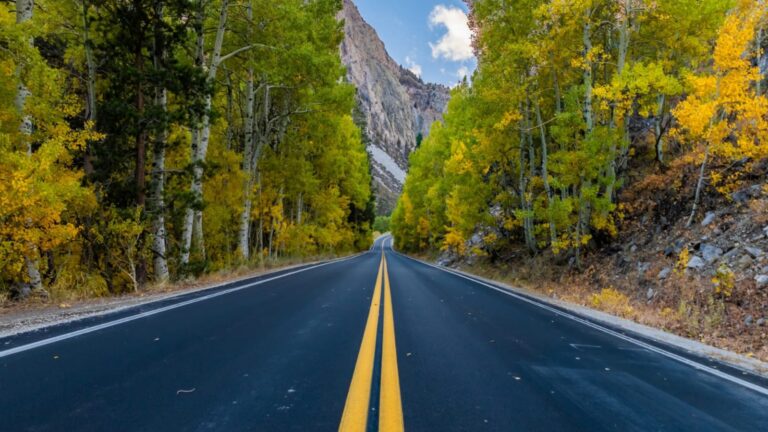 6 Famous Road Trips To Go On The United States West Coast