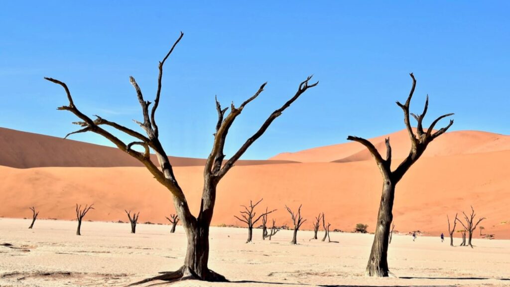 8 Most Wierd and Uncommon Places In The World To Visit