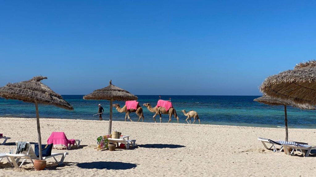 6 Beautiful Beaches To Visit In Tunisia