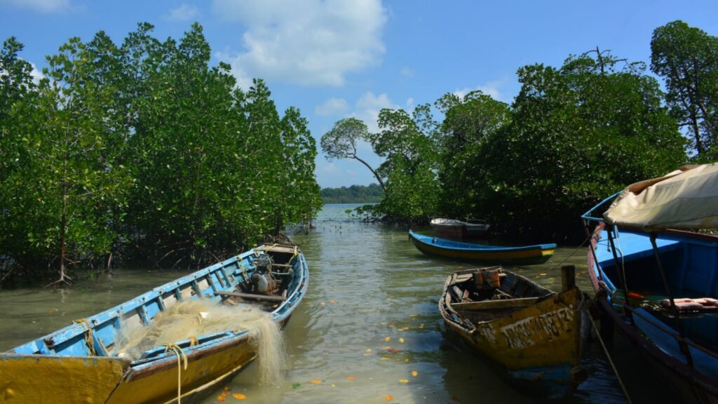 Top 10 Things To Do In Andaman And Nicobar Islands (India)