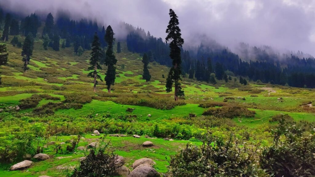 Doodhpathri (Jammu and Kashmir) - Hotels, Attractions