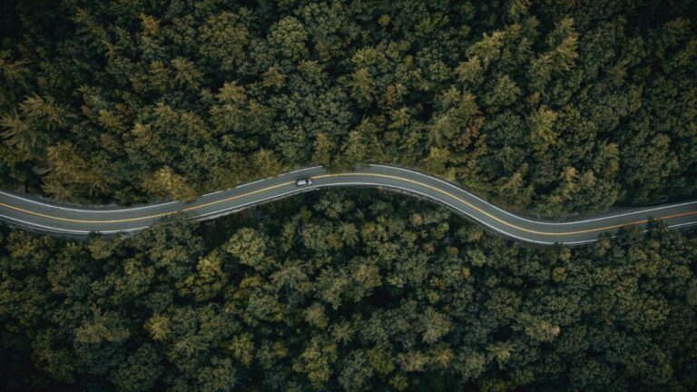 6 Famous Road Trips To Go On The United States East Coast 1 6 Famous Road Trips To Go On The United States East Coast