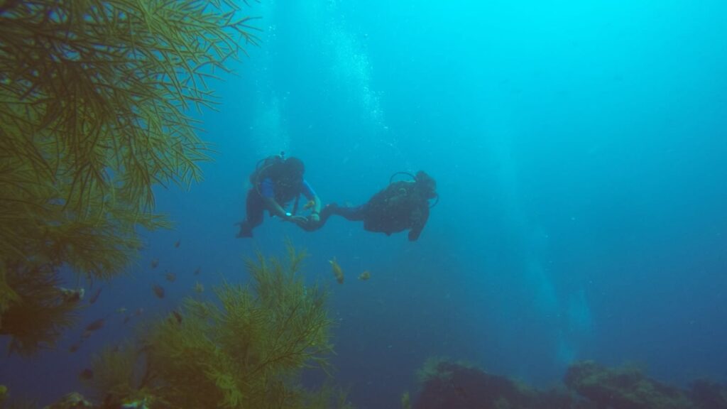 Top 10 Things To Do In Andaman And Nicobar Islands (India)