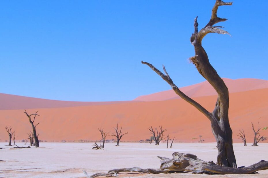 8 Most Wierd and Uncommon Places In The World To Visit