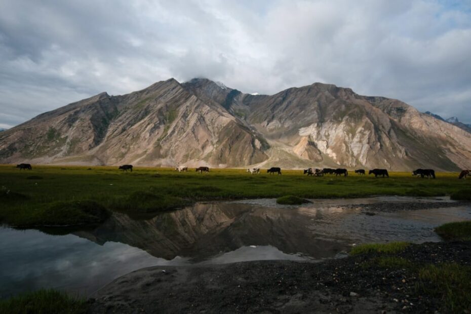 Zanskar Valley (Ladakh) - Best Time To Visit, Things To Do