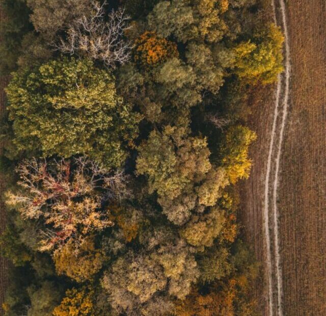 Natural wonder in Indiana