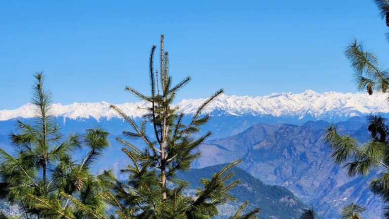 Jibhi (Himachal Pradesh): Things To Do, Places To Visit, Hotels 1 Jibhi (Himachal Pradesh): Things To Do, Places To Visit, Hotels