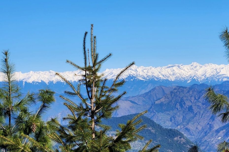Jibhi (Himachal Pradesh): Things To Do, Places To Visit, Hotels