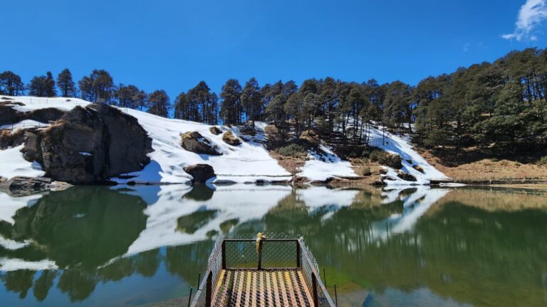 8 Best Places to Visit in Jibhi, Himachal Pradesh | Jibhi Sightseeing 1 8 Best Places to Visit in Jibhi, Himachal Pradesh | Jibhi Sightseeing