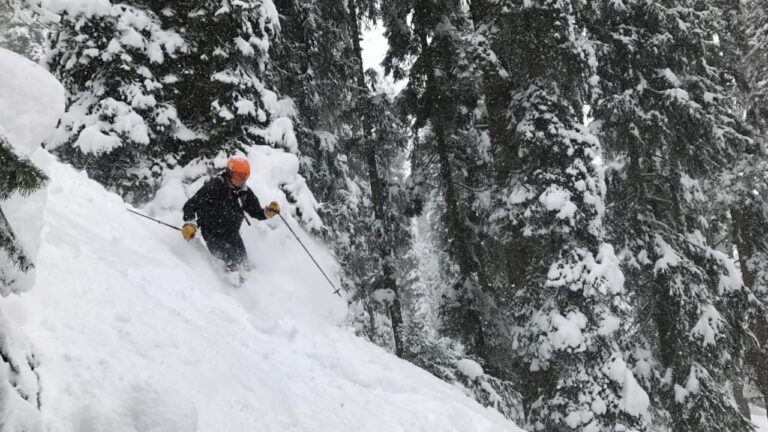 Skiing in India: Top 7 Destinations (Best Months To Ski & Price) 1 Skiing in India: Top 7 Destinations (Best Months To Ski & Price)