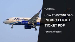 How To Download Indigo Flight Ticket PDF Online
