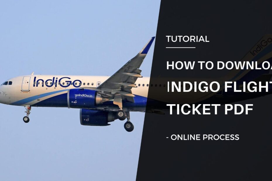 How To Download Indigo Flight Ticket PDF Online