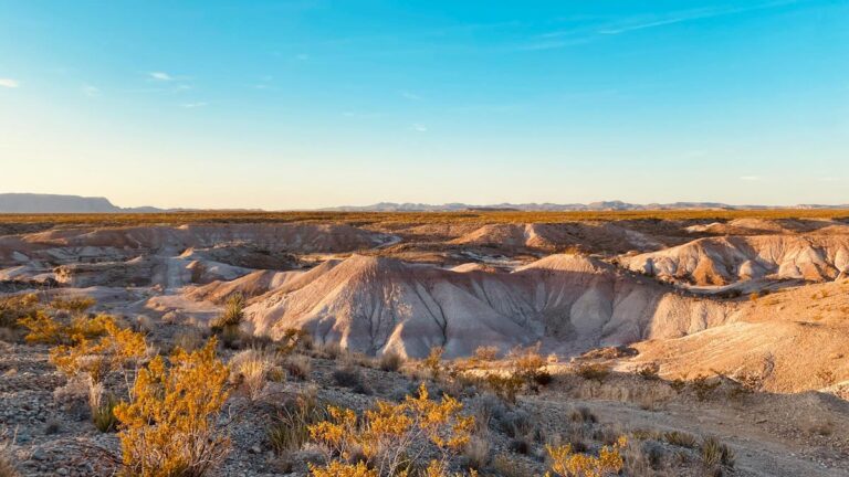 6 Incredible Things Texas Is Known For 1 6 Incredible Things Texas Is Known For
