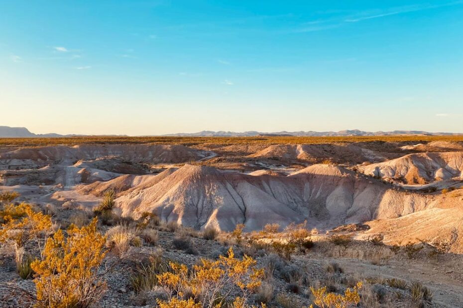 6 Incredible Things Texas Is Known For